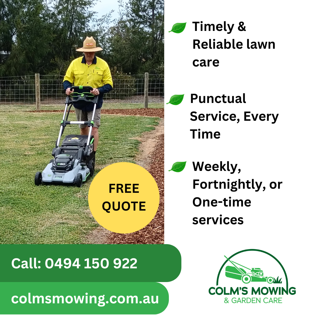Before and after lawn transformation by Colm's Mowing