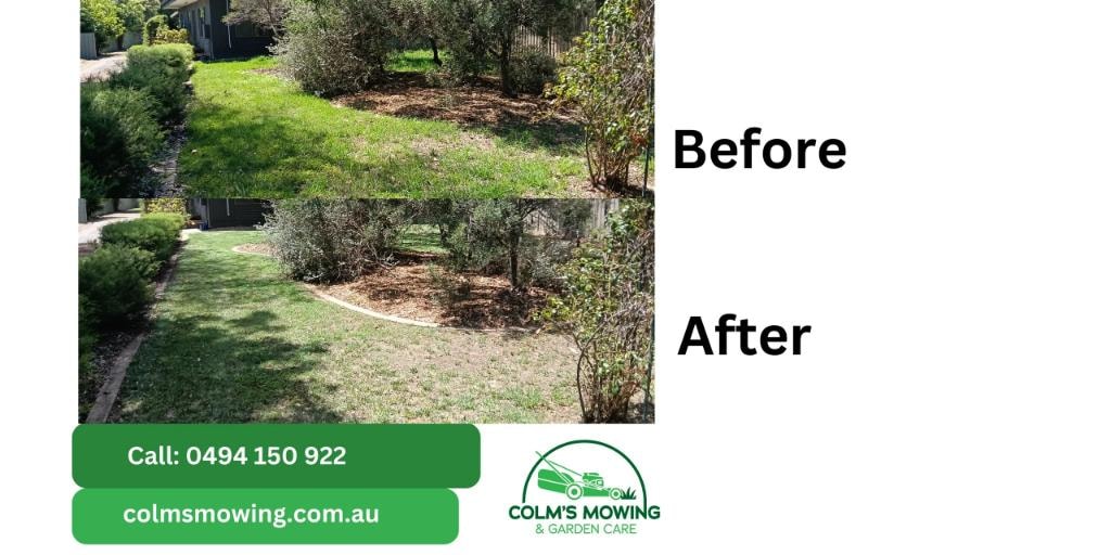 Before and after garden transformation